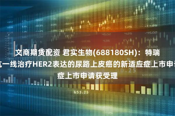文商期货配资 君实生物(688180SH)：特瑞普利单抗一线治疗HER2表达的尿路上皮癌的新适应症上市申请获受理