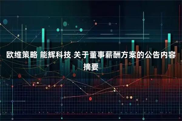 欧维策略 能辉科技 关于董事薪酬方案的公告内容摘要