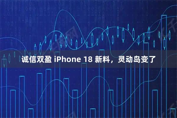 诚信双盈 iPhone 18 新料，灵动岛变了