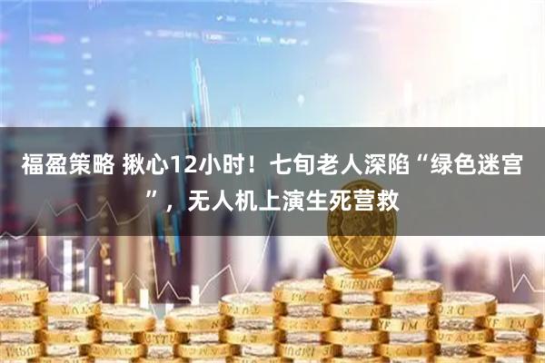 福盈策略 揪心12小时!七旬老人深陷“绿色迷宫”,无人机上演生死营救
